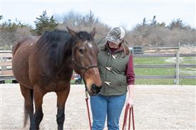 LR-WRF 0402026 Retreat-3282